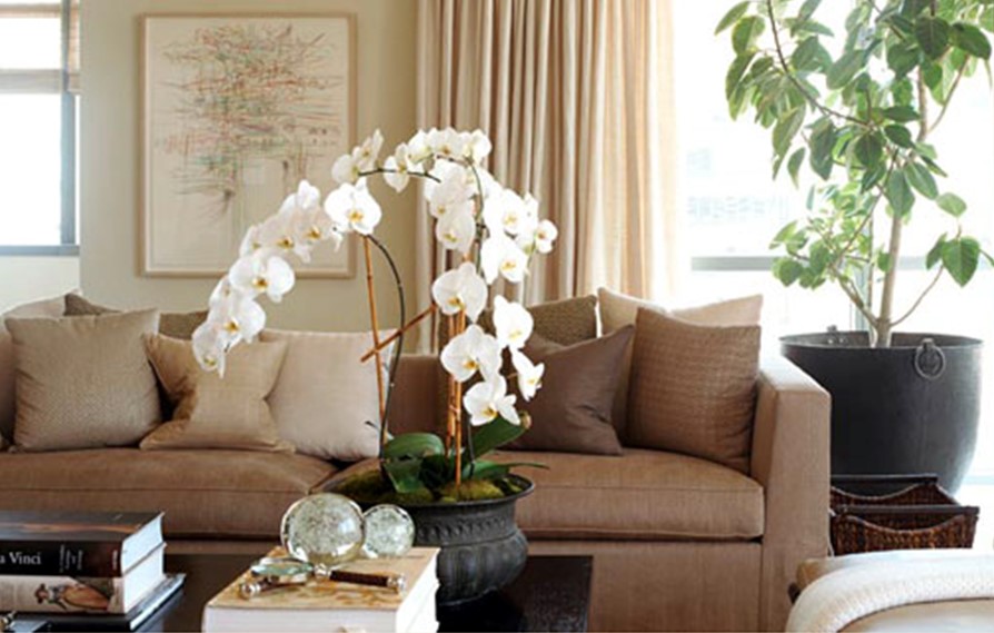 3 Cheap and Easy Ways to Make a Home Presentable - Present Your Home